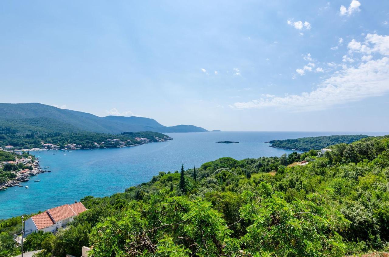 Apartments Sara Molunat Εξωτερικό φωτογραφία